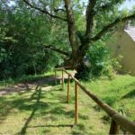 Wesley House Campsite - Walk through woodland with wooden handrail