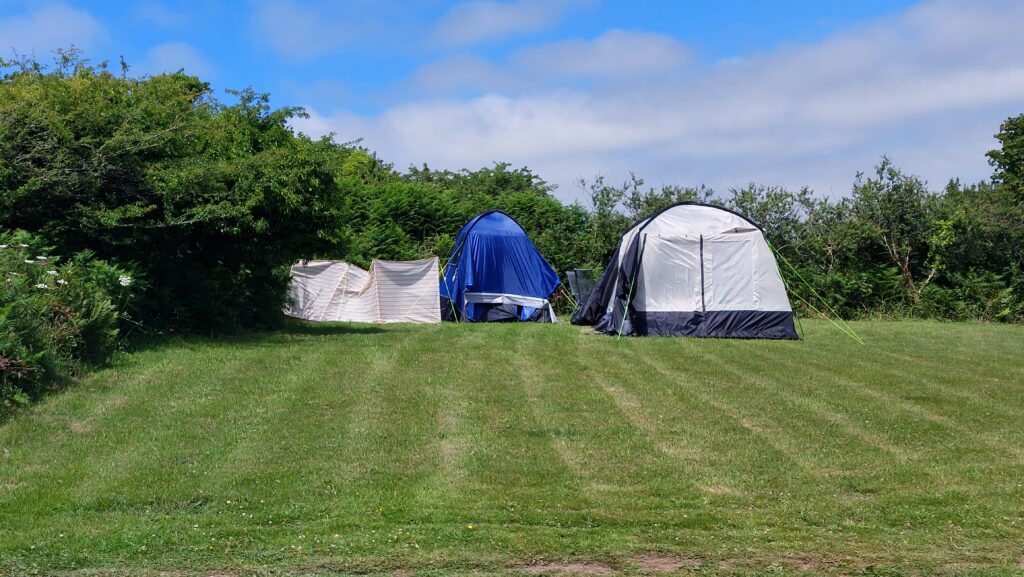 Wesley House Campsite - A corner Camping pitch